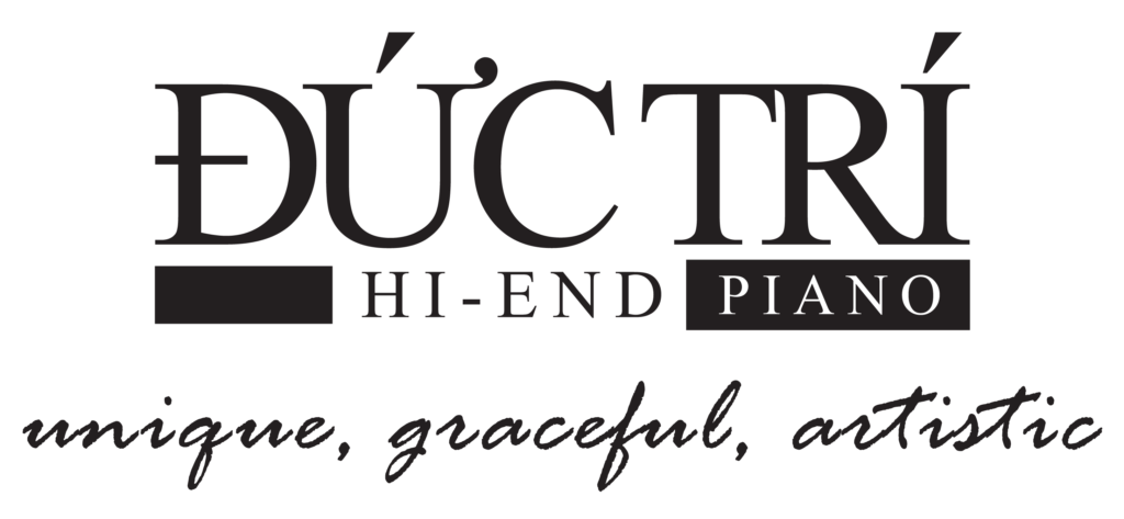 logo piano duc tri